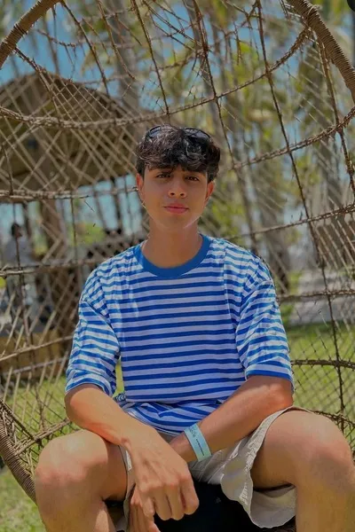 Flipped Chat AI – razgovarajte s Fer