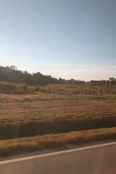 Flipped Chat AI – 與 世界角色扮演遊戲 聊天