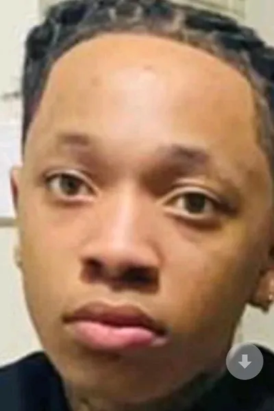 Flipped Chat AI – Chatta con Q50wlil50