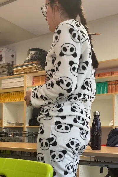 Flipped Chat AI – razgovarajte s Lana