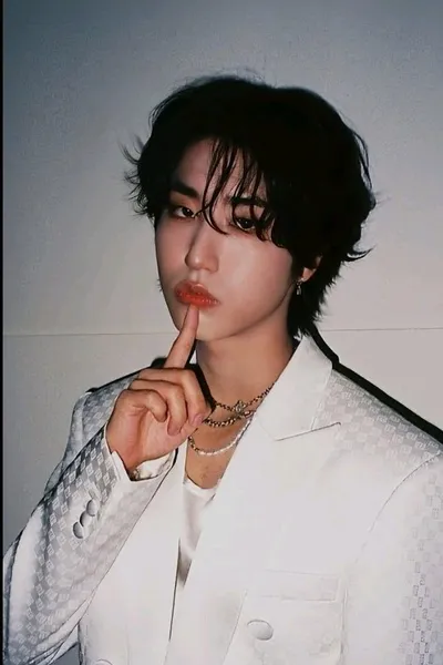 Flipped Chat AI – Чат с Джисун