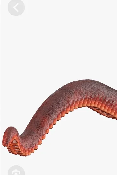 Flipped Chat AI – Bate-papo com Caio Mendonça