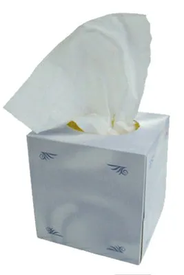 Flipped Chat AI – Chat Ted