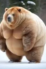 Flipped Chat AI – Чат с Бэр