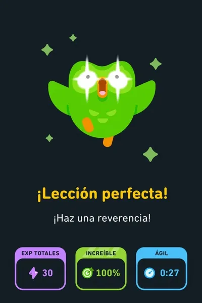 Flipped Chat AI – Chat dengan Stray Kidz