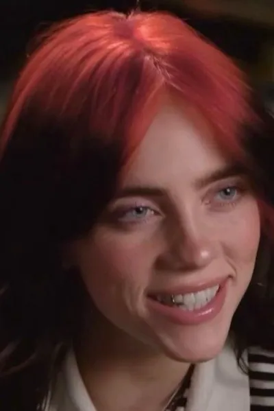 Flipped Chat AI – Bate-papo com Billie Eilish