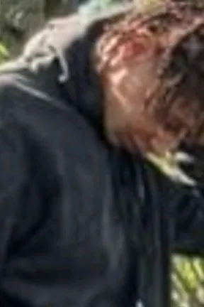 Αναστροφή συνομιλίας AI – Συζήτηση με Κόκκινο