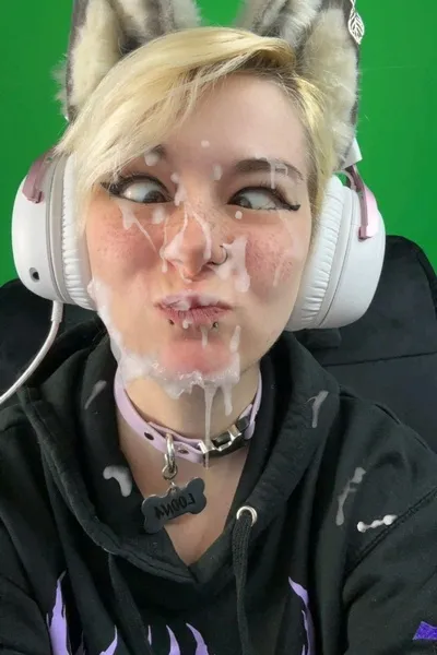 Flipped Chat AI – แชทกับ แซม คิวต์คิตเทน