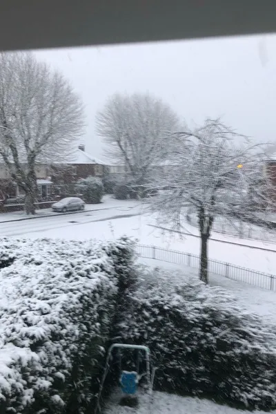 Flipped Chat AI – Chatten mit Erik Svenson