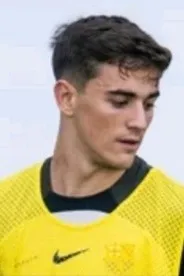 Flipped Chat AI – Чат с Пабло Гави