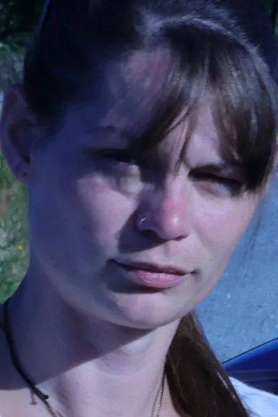 Flipped Chat AI – Чат с Брина