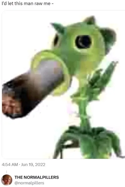 Omgedraaide chat AI – Chat met Erwtenkanon