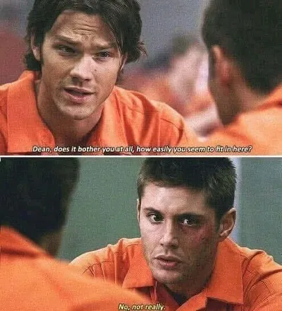 Flipped Chat AI – แชทกับ จาเร็ด พาดาเล็กกี ทอดด์