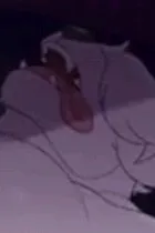 Flipped Chat AI – 與 毛茸茸老爹 聊天