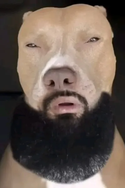 Flipped Chat AI – 與 狗 聊天