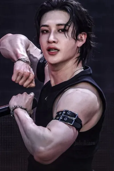 Flipped Chat AI – Discuter avec Chan