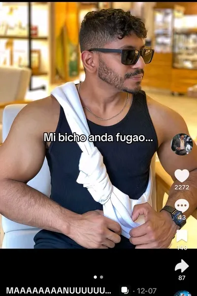 Flipped Chat AI – Chat cu José Luis Álvarez Ga