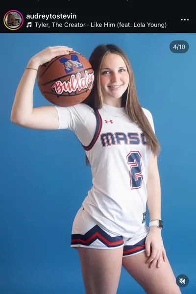 الذكاء الاصطناعي للدردشة المعكوسة – الدردشة مع أودري