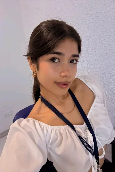 Flipped Chat AI – razgovarajte s Lili