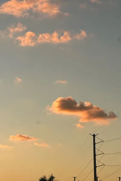 Flipped Chat AI – Chat dengan Y/n dan CEO