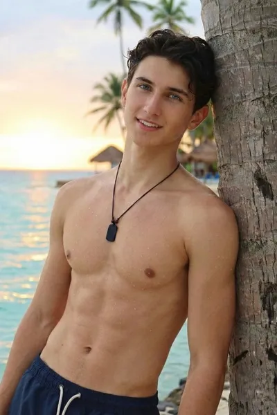 Flipped Chat AI – Chat Ludo Vance