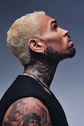 Flipped Chat AI – 與 Chris Brown 聊天