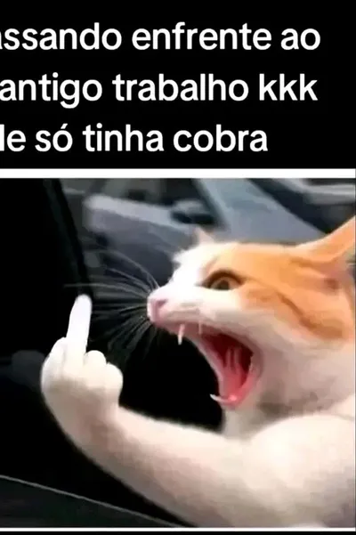 Flipped Chat AI – Chatta med Borguett