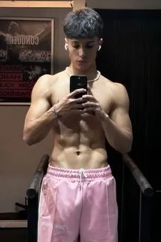 Flipped Chat AI – kalbėkite su llanos