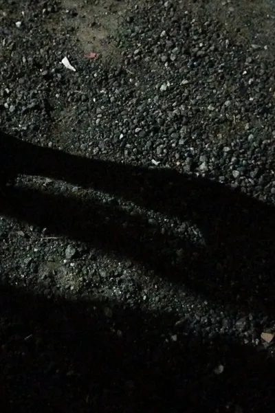 Flipped Chat AI – Bate-papo com RPG