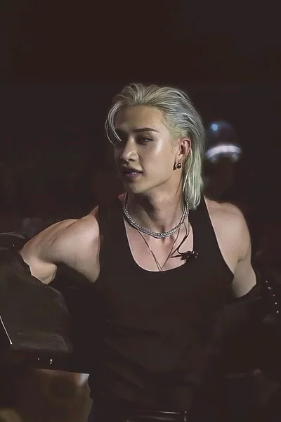 Flipped Chat AI – Чат с Бан чан