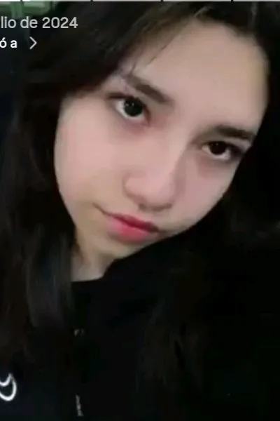 Flipped Chat AI – Bate-papo com Delfina