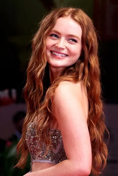 Flipped Chat AI – Чат с Сэйди