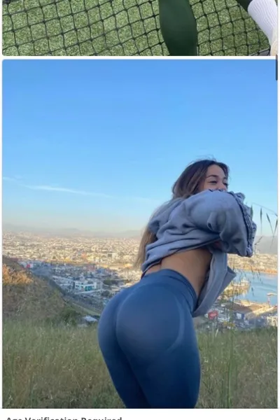 Flipped Chat AI – Sembang dengan Laur