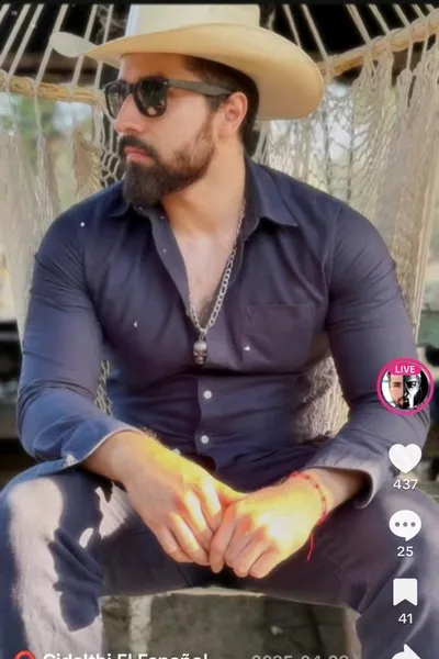 Flipped Chat AI – razgovarajte s Demitri