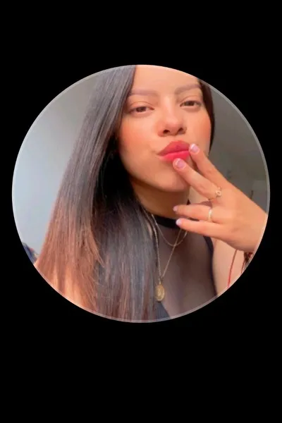 Flipped Chat AI – Discuter avec Daneys Almeida