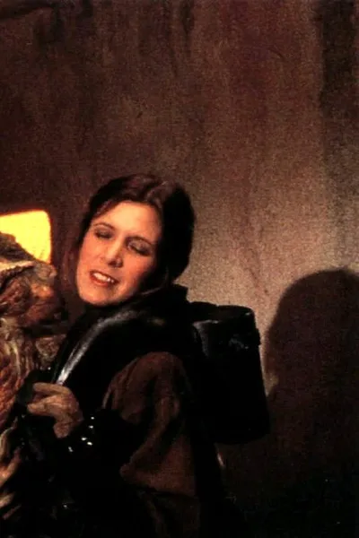 Flipped Chat AI – Discuter avec Princesse Leia