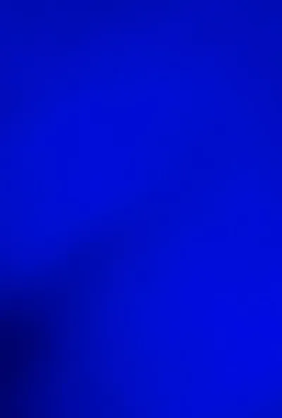 Flipped Chat AI – Discuter avec Bluedude