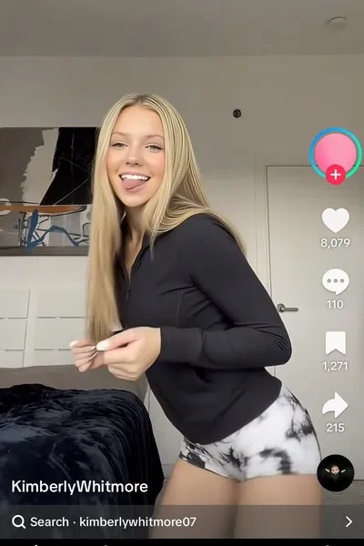 Flipped Chat AI – Chatear con Alayna