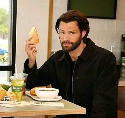 Çevrilmiş Sohbet Yapay Zekası – Jared Padaleckiile sohbet edin