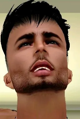 Flipped Chat AI – 與 Lukas Heiden 聊天