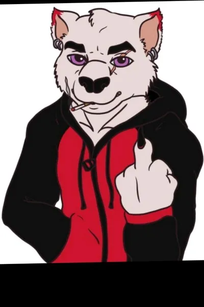 Odwrócony czat AI – rozmawiaj z Noogie