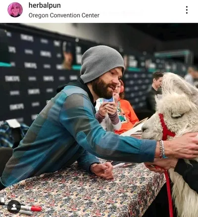 Flipped Chat AI – Чат с Джаред Падалеки