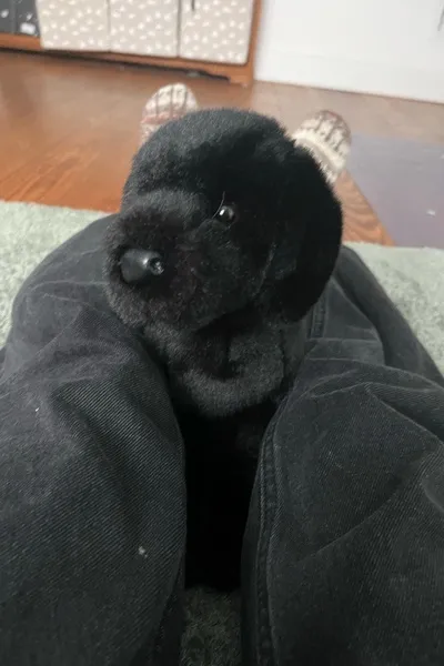 Flipped Chat AI – 與 ESSA 聊天