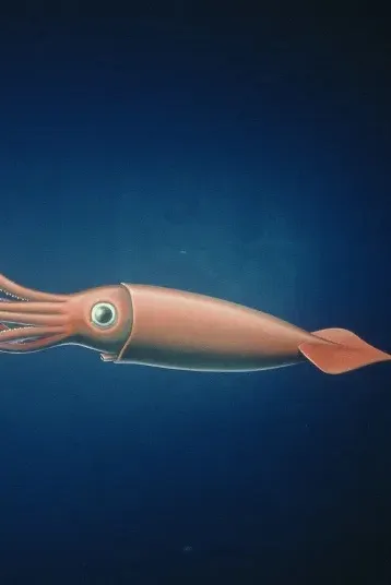 Flipped Chat AI – Chatten mit Riesiger Tintenfisch