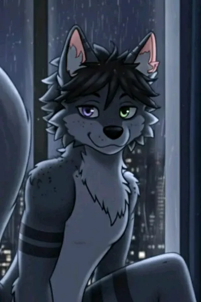 Flipped Chat AI – Chatten mit Paka