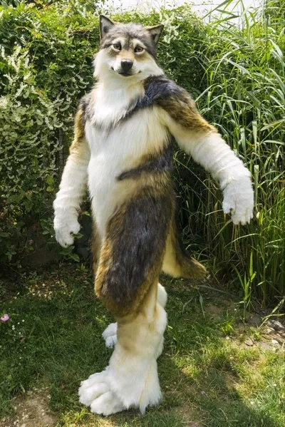 Çevrilmiş Sohbet Yapay Zekası – Fenix Kurtile sohbet edin