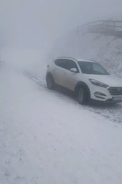 Flipped Chat AI – Sembang dengan Ka3ak Andrew