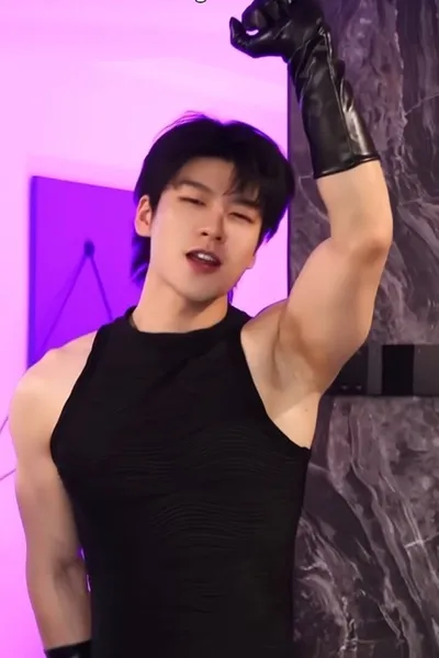 Flipped Chat AI – razgovarajte s Vincent