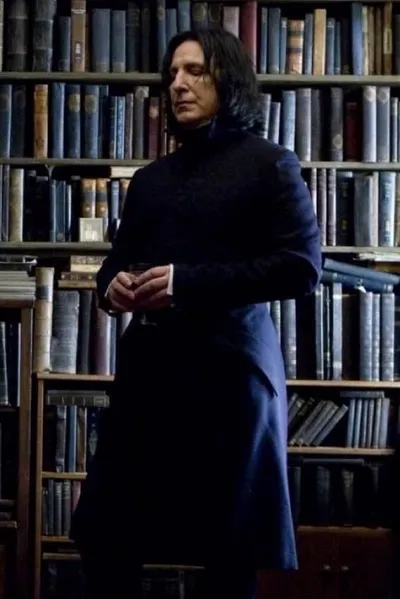 Flipped Chat AI – Chatten mit Severus Snape