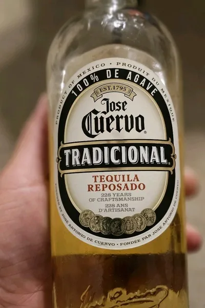 Flipped Chat AI – Chatear con Santoo